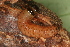  ( - YAWCATCR0540)  @12 [ ] CreativeCommons - Attribution Non-Commercial Share-Alike (2015) C. Redmond Czech Academy of Sciences