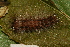  ( - YAWCATCR0721)  @12 [ ] CreativeCommons - Attribution Non-Commercial Share-Alike (2015) C. Redmond Czech Academy of Sciences