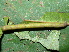  ( - YAWCATCR0544)  @12 [ ] CreativeCommons - Attribution Non-Commercial Share-Alike (2015) C. Redmond Czech Academy of Sciences