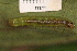  ( - YAWCATCR0953)  @12 [ ] CreativeCommons - Attribution Non-Commercial Share-Alike (2015) C. Redmond Czech Academy of Sciences