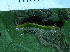  ( - YAWCATCR0561)  @12 [ ] CreativeCommons - Attribution Non-Commercial Share-Alike (2015) C. Redmond Czech Academy of Sciences