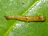  ( - YAWCATCR0224)  @12 [ ] CreativeCommons - Attribution Non-Commercial Share-Alike (2015) C. Redmond Czech Academy of Sciences