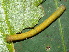  ( - YAWCATCR0400)  @11 [ ] CreativeCommons - Attribution Non-Commercial Share-Alike (2015) C. Redmond Czech Academy of Sciences