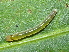  ( - YAWCATCR0186)  @12 [ ] CreativeCommons - Attribution Non-Commercial Share-Alike (2015) C. Redmond Czech Academy of Sciences