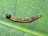  ( - YAWCATCR0198)  @12 [ ] CreativeCommons - Attribution Non-Commercial Share-Alike (2015) C. Redmond Czech Academy of Sciences