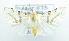  (Lemyra sp. ACL4203 - USNM ENT 00723427)  @13 [ ] Unspecified (default): All Rights Reserved  Unspecified Unspecified