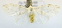  ( - USNM ENT 00723652)  @13 [ ] Unspecified (default): All Rights Reserved  Unspecified Unspecified