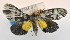  ( - USNM ENT 00726004)  @12 [ ] Unspecified (default): All Rights Reserved  Unspecified Unspecified
