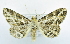  ( - USNM ENT 00726261)  @13 [ ] Unspecified (default): All Rights Reserved  Unspecified Unspecified