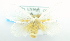 ( - USNM ENT 00726357)  @12 [ ] Unspecified (default): All Rights Reserved  Unspecified Unspecified