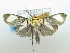  ( - USNM ENT 00726414)  @13 [ ] Unspecified (default): All Rights Reserved  Unspecified Unspecified