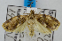  ( - USNM ENT 00726495)  @13 [ ] Unspecified (default): All Rights Reserved  Unspecified Unspecified