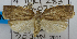  ( - USNM ENT 00726564)  @14 [ ] Unspecified (default): All Rights Reserved  Unspecified Unspecified