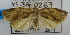  ( - USNM ENT 00726598)  @13 [ ] Unspecified (default): All Rights Reserved  Unspecified Unspecified