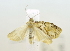  ( - USNM ENT 00726811)  @12 [ ] Unspecified (default): All Rights Reserved  Unspecified Unspecified