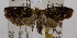  ( - USNM ENT 00726857)  @12 [ ] Unspecified (default): All Rights Reserved  Unspecified Unspecified