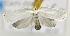  ( - USNM ENT 00736029)  @12 [ ] Unspecified (default): All Rights Reserved  Unspecified Unspecified
