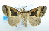  ( - USNM ENT 00736030)  @13 [ ] Unspecified (default): All Rights Reserved  Unspecified Unspecified