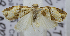  ( - USNM ENT 00736472)  @13 [ ] Unspecified (default): All Rights Reserved  Unspecified Unspecified