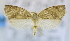  ( - USNM ENT 00736495)  @14 [ ] Unspecified (default): All Rights Reserved  Unspecified Unspecified