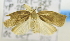  ( - USNM ENT 00736496)  @13 [ ] Unspecified (default): All Rights Reserved  Unspecified Unspecified