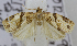  ( - USNM ENT 00736510)  @12 [ ] Unspecified (default): All Rights Reserved  Unspecified Unspecified