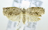  ( - USNM ENT 00736526)  @14 [ ] Unspecified (default): All Rights Reserved  Unspecified Unspecified