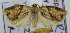  ( - USNM ENT 00736537)  @13 [ ] Unspecified (default): All Rights Reserved  Unspecified Unspecified