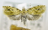  ( - USNM ENT 00736549)  @12 [ ] Unspecified (default): All Rights Reserved  Unspecified Unspecified
