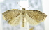  ( - USNM ENT 00736571)  @13 [ ] Unspecified (default): All Rights Reserved  Unspecified Unspecified