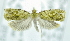  ( - USNM ENT 00736717)  @12 [ ] Unspecified (default): All Rights Reserved  Unspecified Unspecified