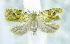  ( - USNM ENT 00736759)  @12 [ ] Unspecified (default): All Rights Reserved  Unspecified Unspecified