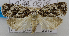  ( - USNM ENT 00736835)  @13 [ ] Unspecified (default): All Rights Reserved  Unspecified Unspecified