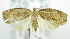  ( - USNM ENT 00736861)  @13 [ ] Unspecified (default): All Rights Reserved  Unspecified Unspecified