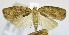  ( - USNM ENT 00736879)  @13 [ ] Unspecified (default): All Rights Reserved  Unspecified Unspecified