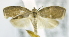  ( - USNM ENT 00736896)  @13 [ ] Unspecified (default): All Rights Reserved  Unspecified Unspecified