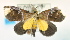  ( - USNM ENT 00736938)  @13 [ ] Unspecified (default): All Rights Reserved  Unspecified Unspecified