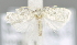  ( - USNM ENT 00736949)  @12 [ ] Unspecified (default): All Rights Reserved  Unspecified Unspecified