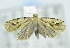  ( - USNM ENT 00736989)  @12 [ ] Unspecified (default): All Rights Reserved  Unspecified Unspecified