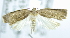  ( - USNM ENT 00737595)  @13 [ ] Unspecified (default): All Rights Reserved  Unspecified Unspecified