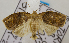  ( - USNM ENT 00737650)  @14 [ ] Unspecified (default): All Rights Reserved  Unspecified Unspecified