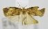  ( - USNM ENT 00737710)  @12 [ ] Unspecified (default): All Rights Reserved  Unspecified Unspecified