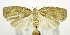  ( - USNM ENT 00737727)  @14 [ ] Unspecified (default): All Rights Reserved  Unspecified Unspecified