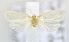  ( - USNM ENT 00737819)  @12 [ ] Unspecified (default): All Rights Reserved  Unspecified Unspecified