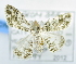  ( - USNM ENT 00737840)  @12 [ ] Unspecified (default): All Rights Reserved  Unspecified Unspecified
