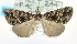  (Hypena poecila - USNM ENT 00737850)  @13 [ ] Unspecified (default): All Rights Reserved  Unspecified Unspecified