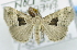  ( - USNM ENT 00737854)  @14 [ ] Unspecified (default): All Rights Reserved  Unspecified Unspecified