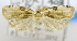 ( - USNM ENT 00737871)  @12 [ ] Unspecified (default): All Rights Reserved  Unspecified Unspecified