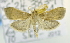  ( - USNM ENT 00737925)  @13 [ ] Unspecified (default): All Rights Reserved  Unspecified Unspecified