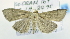  ( - USNM ENT 00737937)  @14 [ ] Unspecified (default): All Rights Reserved  Unspecified Unspecified